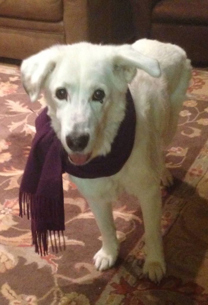 Jake 01/2014