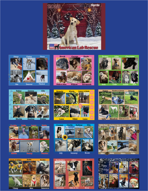 Pre Order - 2026 ALR Calendar