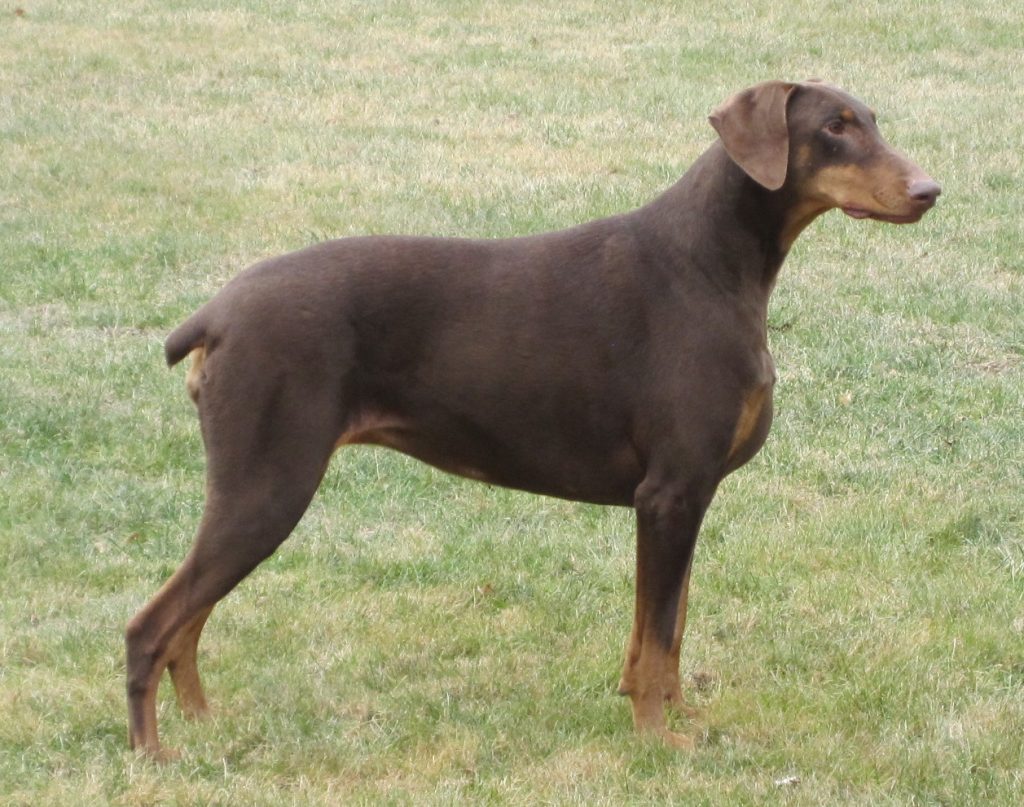 Sierra 02/2014